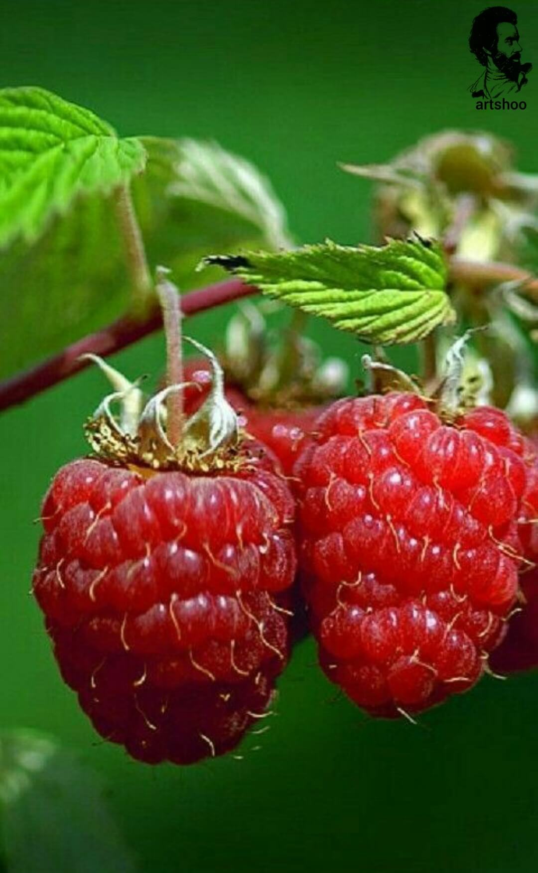 آموزش نقاشی رنگ روغن